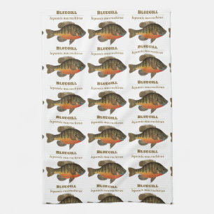 Bluegill Fishing Kitchen Towel