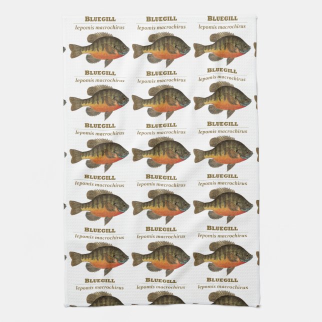 Bluegill Fishing Kitchen Towel (Vertical)