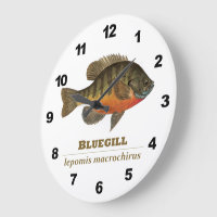 Bluegill Fish Wall Decor,fishing Gifts for Dad From Daughter