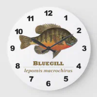 Bluegill Fishing Large Clock