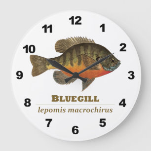 Bluegill Fishing Large Clock