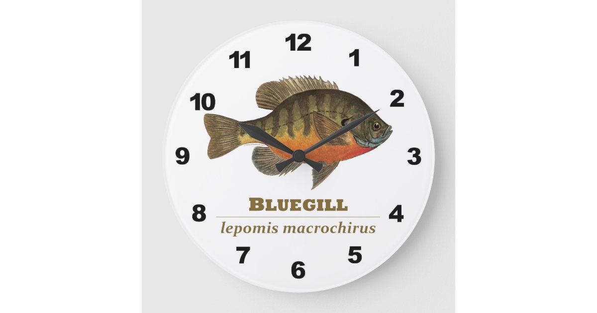 Bluegill Fishing Large Clock