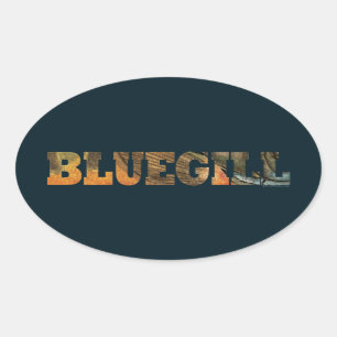 Bluegill Fishing Oval Sticker