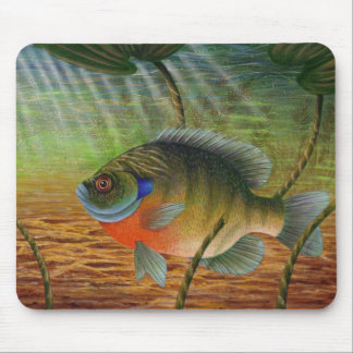 Bluegill Mouse Pad