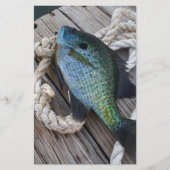 bluegill on dock (Front)