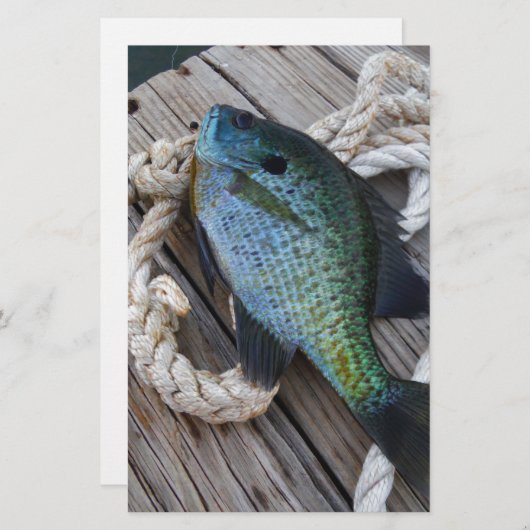 bluegill on dock (Front/Back)