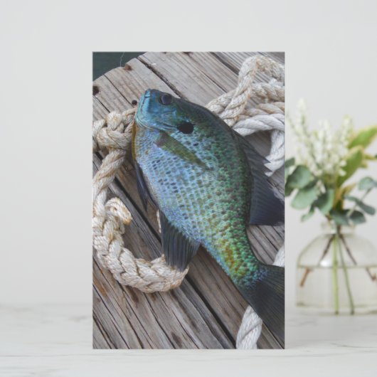 bluegill on dock (Standing Front)