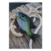 bluegill on dock (Front)
