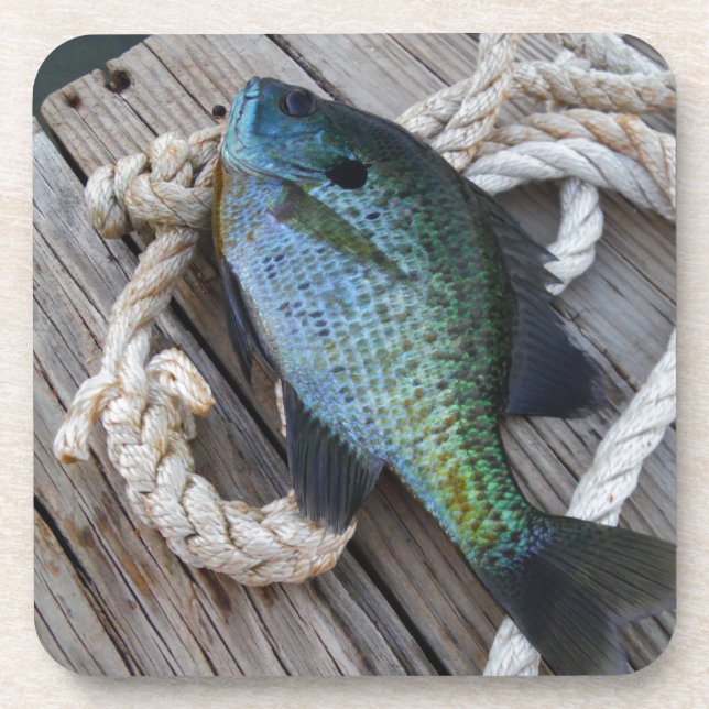 bluegill on dock coaster (Front)