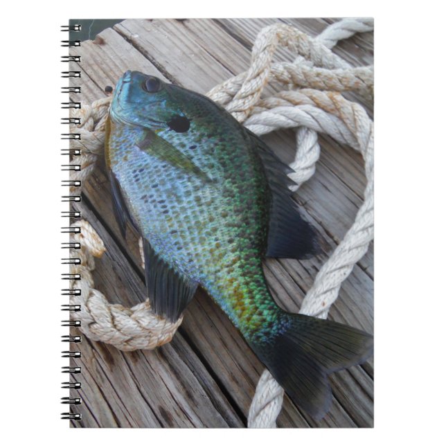 bluegill on dock notebook (Front)