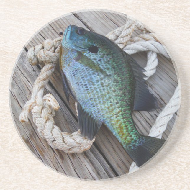 bluegill on dock sandstone coaster (Front)