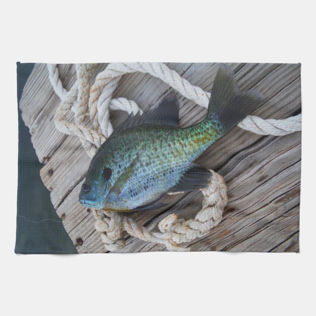 bluegill on dock towel (Horizontal)