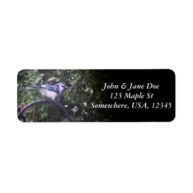 BlueJay 2 Label (Front)