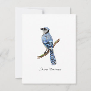 Bluejay bird flat note card