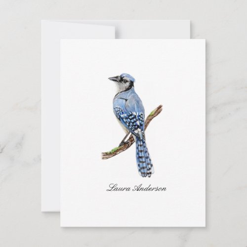 Bluejay bird flat note card  