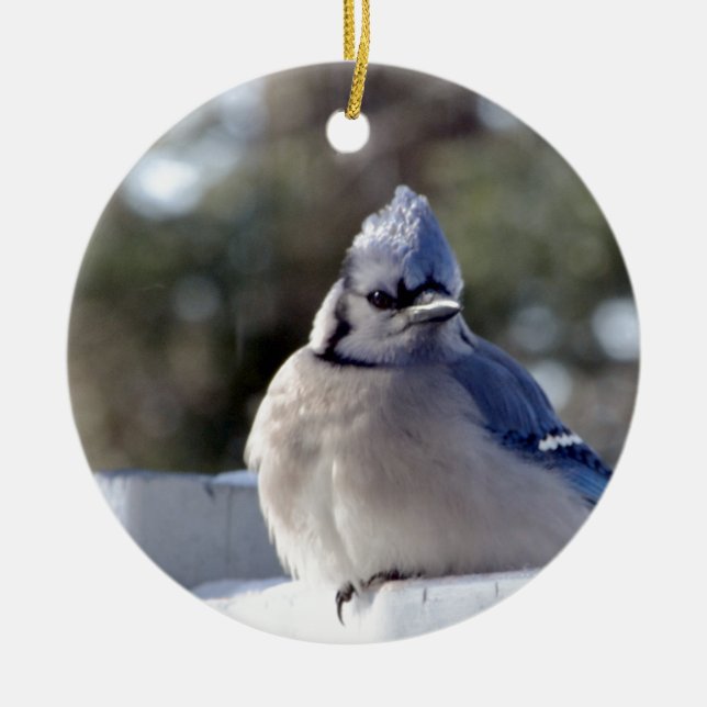 Bluejay Ceramic Ornament (Front)