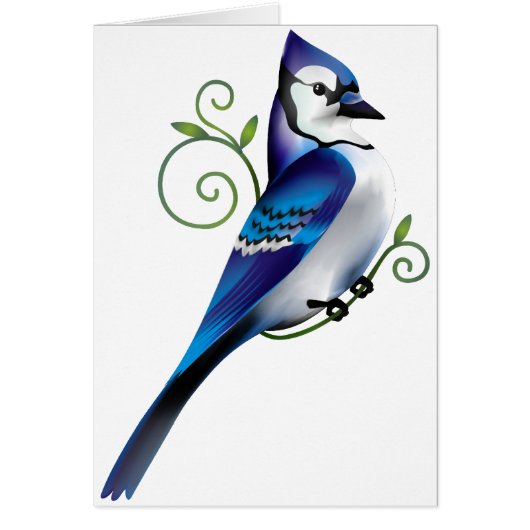 Bluejay Day Cards (Front)