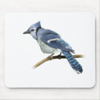 Bluejay Illustration Mouse Pad