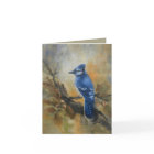Bluejay "Jaybird" by Jason Street