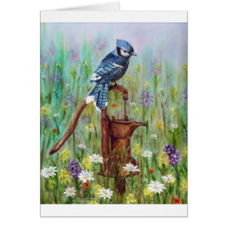 Bluejay: peaceful Perch Cards