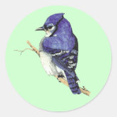 Baby Blue Jay Bird Custom-Cut Vinyl Sticker | Zazzle