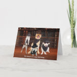 Blues Brothers Dogs &amp; Cats Card