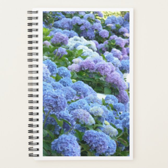 Blues Muse Hydrangeas Spiral Notebook (Front)