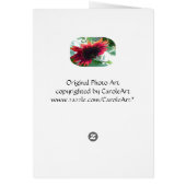 Bluest Blue Hydrangeas Cards (Back)