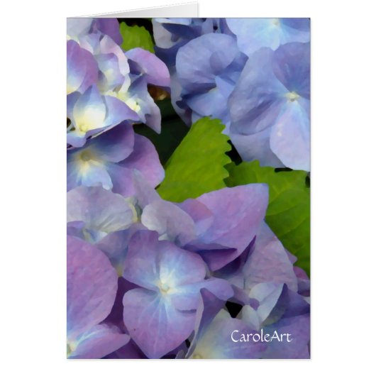 Bluest Blue Hydrangeas Cards (Front)