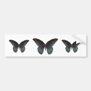BlueSwallowTail Butterfly Bumper Sticker