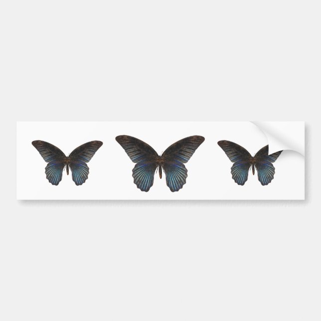 BlueSwallowTail Butterfly Bumper Sticker (Front)