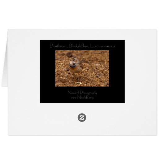 Bluethroat, Blaukehlchen, Luscinia svecica (Back Horizontal)