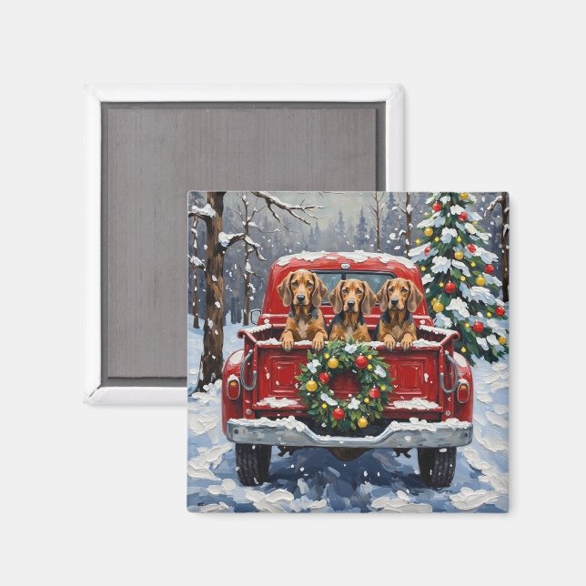Bluetick Coonhound Christmas Red Truck Holiday Magnet (Front/Back)