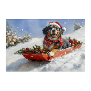 Bluetick Coonhound Dog in Sledge Christmas Acrylic Print