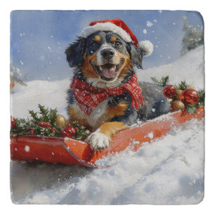 Bluetick Coonhound Dog in Sledge Christmas Trivet