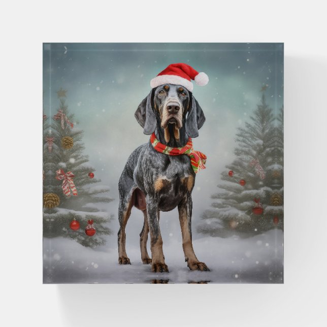 Bluetick Coonhound Dog in Snow Christmas  Paperweight (Front)
