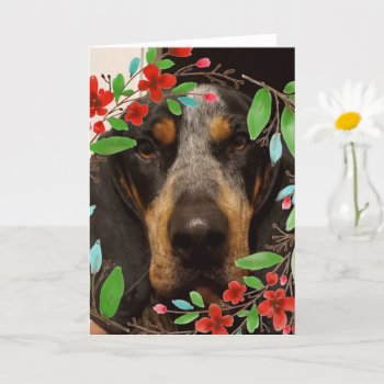 Bluetick Coonhound Dog/ Pet Photo Card by Susang6 at Zazzle