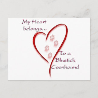 Bluetick Coonhound Heart Belongs Postcard