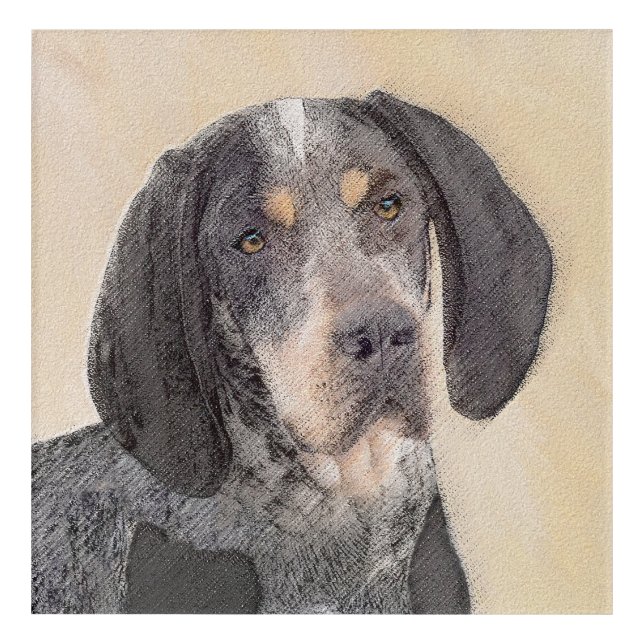 Bluetick Coonhound Painting - Cute Original Dog Ar Acrylic Print (Front)
