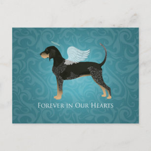 Bluetick Coonhound Pet Memorial Angel Dog Postcard