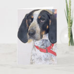 Bluetick Coonhound Photo Card