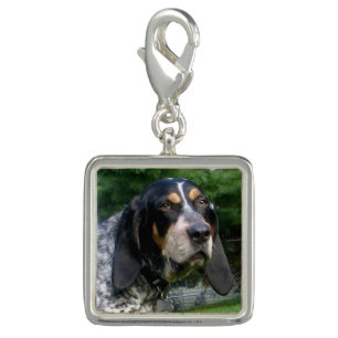Bluetick Coonhound.png Charm