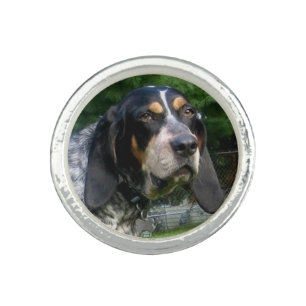 Bluetick Coonhound.png Ring