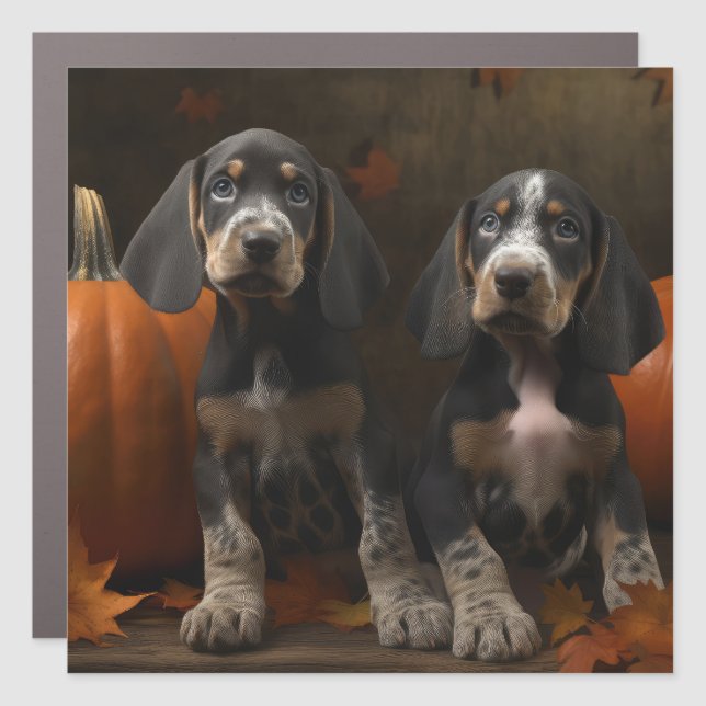 Bluetick Coonhound Puppy Autumn Delight Pumpkin  Car Magnet (Front)