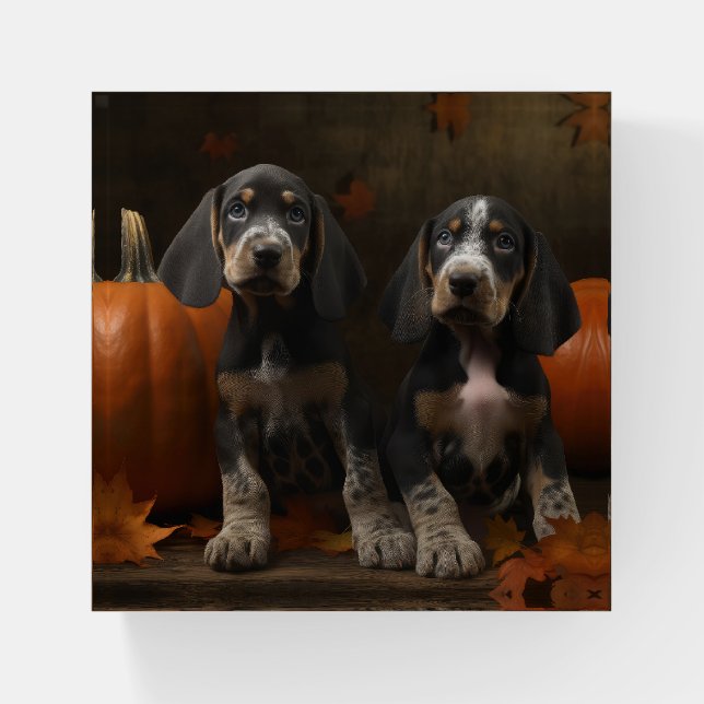 Bluetick Coonhound Puppy Autumn Delight Pumpkin  Paperweight (Front)