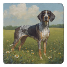 Bluetick Coonhound