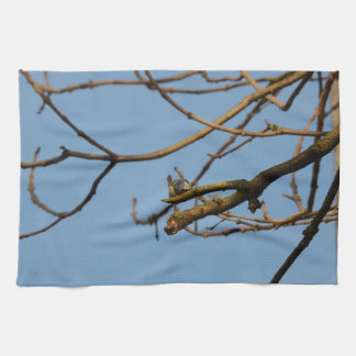 Bluetit Kitchen Towel