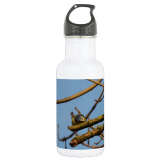 Bluetit Stainless Steel Water Bottle