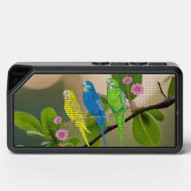 Bluetooth Speaker Budgies