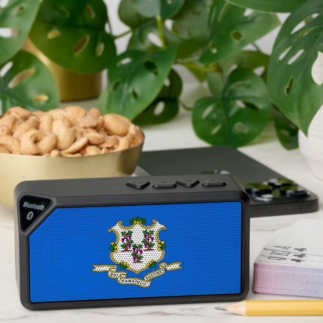 Bluetooth speakers with flag of Connecticut, USA (Insitu(Table))